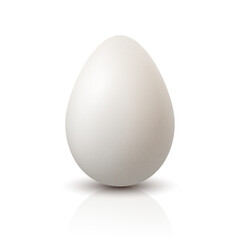 Vector 3d Realistic White Chicken Egg Closeup. Textured Chicken Egg Icon, Isolated. Vector Bird Whole Egg in Front View