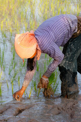 Daily life in Cambodia.