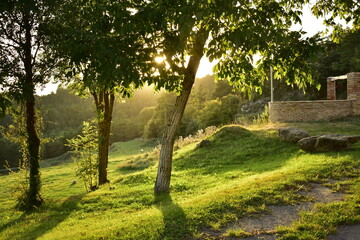 Fototapeta premium Atardecer en un Prado