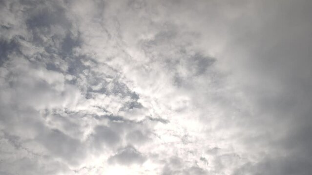 Birds flying through the sky around stratocumulus clouds in the morning