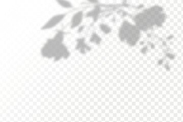 Fototapeta premium The effect of overlaying shadows. Natural light layout.Realistic shadow tropical leaves and branches on transparent checkered background.