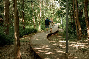 A family of three are walking in the forest. Summer background.