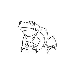 frog line concept illustration vector