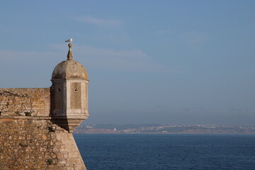 Fototapeta na wymiar Seagull on his fortress 