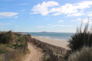 beach and fence