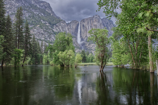 Yosemite Valley National Park's Yosemite Falls Reflected in Merced River from Swinging Bridge Before Thunderstorm