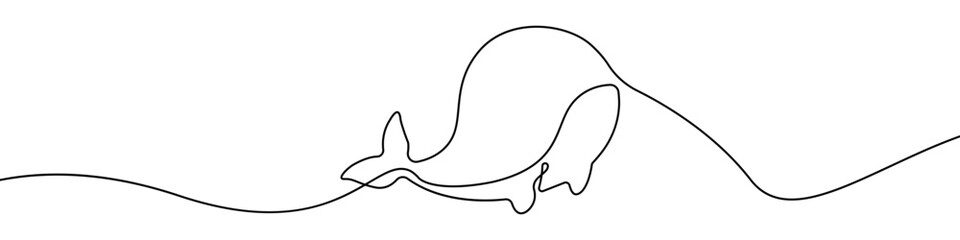 Sea whale icon line continuous drawing vector. One line killer whale icon vector background. Whale cute icon. Continuous outline of a Whale icon. © Andrii