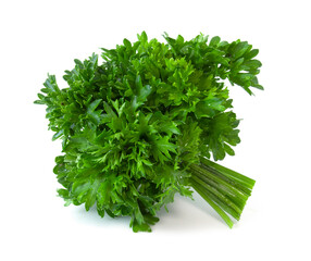 Bunch of green parsley, fresh herbs for cooking isolated on white background. Fragrant plant used in the kitchen for decoration and aroma.