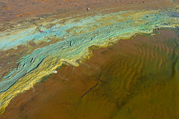 Bright blue-green algae (cyanobacteria) on water and beach sand. Close-up of a harmful algal blooms and decay. Abstract background with green toxic texture.