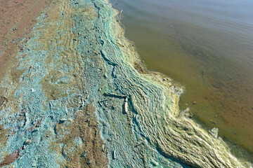 Bright blue-green algae (cyanobacteria) on water and beach sand. Close-up of a harmful algal blooms and decay. Abstract background with green toxic texture.