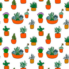 set cacti and succulents seamless pattern hand draw png image transparency background 