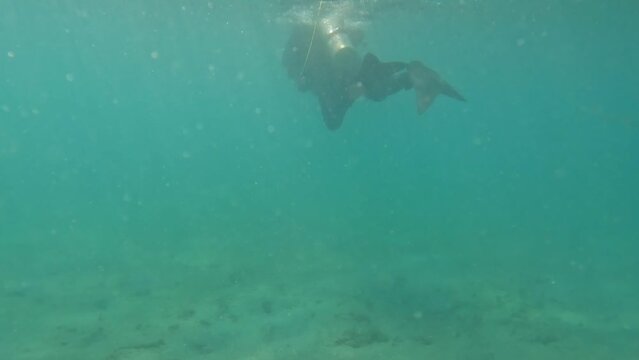 Entering the water at Blue Heron Bridge scuba diving.