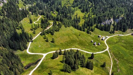 Recording of a drone with a view of the forest, meadow and field paths during the day in austria - obrazy, fototapety, plakaty