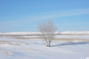 A lone tree standing tall in a snowy field, symbolizing resilience and strength in the face of winter's harsh conditions