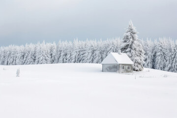 A snow-covered village nestled in a valley, emanating a sense of charm and coziness in the midst of winter's embrace