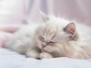 Cute little fluffy Ragdoll kitten sleeps on the bed. Morning. Funny pet with a pink nose. Charming child. Light pastel background, soft light