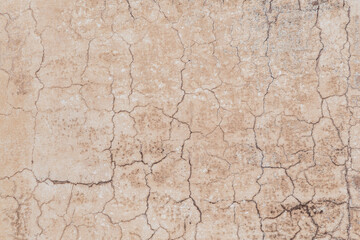 rotten dried and cracked plaster wall in the heat of India as harmonic background symbolizing age