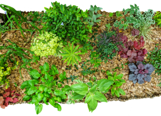 Jardin d'été avec massif et plantes avec feuilles, fleurs, paillis. Banderole, bannière, fond avec arrière plan transparent pour les plans d'aménagement paysager et les dessins d'architecture.