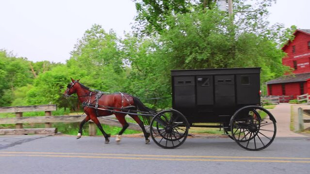 Amish Buggy Passes public park. Bonneyville Mills Park, Elkhart County, Indiana.