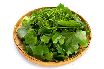 Lvy Gourd leaves on white background.
