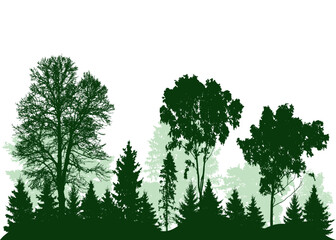 Beautiful landscape, silhouette of deciduous and coniferous trees, forest. Vector illustration