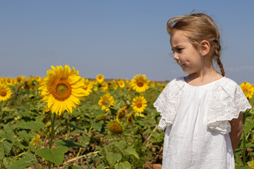 blond girl in the sunflowers enjoying nature