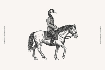 Goose in an elegant costume on a horse in the style of an engraving. Mythical character on a light isolated background. Black and white vector illustration.