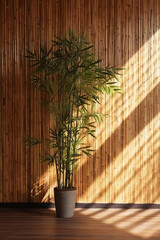 sunlight of tropical bamboo tree leaf shadow on brown wooden panel wall with wood grain. AI generative