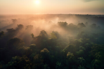 Fototapeta na wymiar Aerial view of a misty forest in a foggy day at sunset. Generative AI.