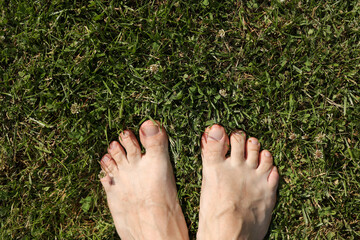Barefoot on fresh bright green grass on hot day. Male feet stand on lawn outdoors. Freedom, summer...