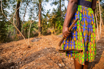 Close-up of the hoe held by a peasant woman before hoeing the field in Africa