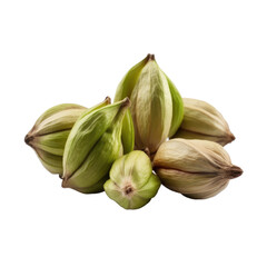 Cardamom isolated on transparent background. Generative AI