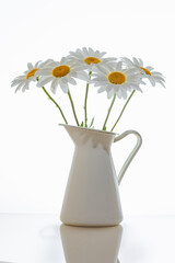 bouquet of daisies in a jug on a white background
