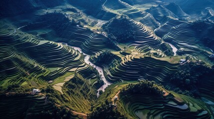 Fototapeta na wymiar Terraced rice, Landscape of the terraced rice fields at Mugang Chai during the farming season in Vietnam.