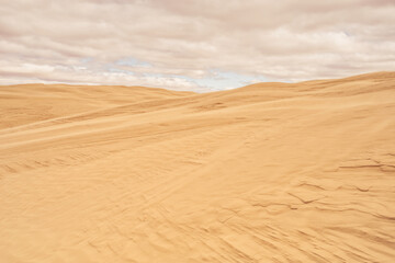 Cloudy textured landscape of Great Sandhills Ecological Reserve