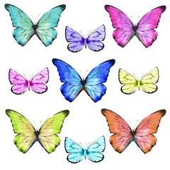 Fototapeta na wymiar A set of summer butterflies. Watercolor illustration, poster.