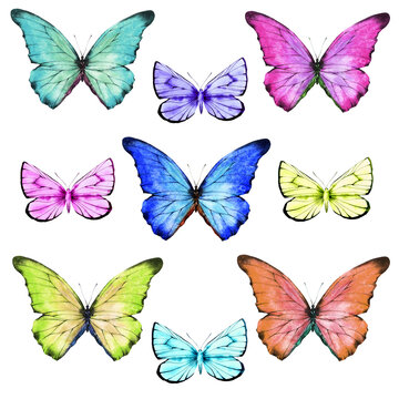 A set of summer butterflies. Watercolor illustration, poster.
