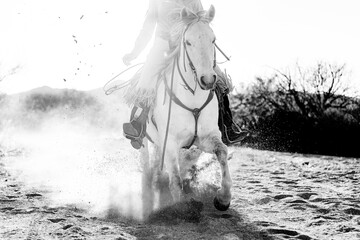 Sliding stop by Mustang horse in Arizona desert