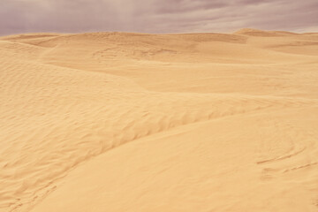 Textured sandy landscape of Sandhills Ecological Reserve