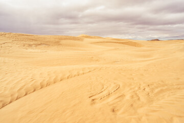 Fototapeta na wymiar Textured sand of Sandhills Ecological Reserve