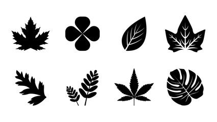 leaf pack vector illustration