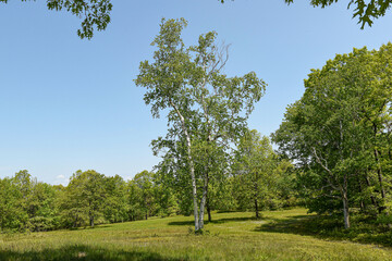the landscape of the quabbin reservoir in ware massachusetts