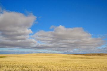 Blue sky and cloudy prairie landscape