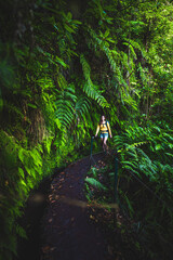 Tourist woman walks next to canal through Madeiran rainforest on a fern covered hiking trail in the morning. Levada of Caldeirão Verde, Madeira Island, Portugal, Europe.