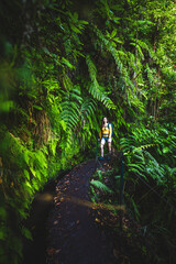 Backpacker woman walks next to canal through Madeiran rainforest on a fern covered hiking trail in...