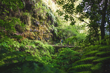 Backpacker woman walking on overgrown footpath over old bridge in Madeira's rainforest in the morning. Levada of Caldeirão Verde, Madeira Island, Portugal, Europe.