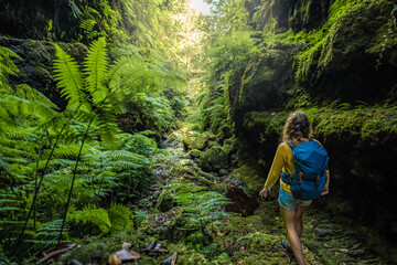 Backpacker woman walking on a fern covered gorge with old bridge somewhere in Madeiran rainforest in the morning. Levada of Caldeirão Verde, Madeira Island, Portugal, Europe. - obrazy, fototapety, plakaty