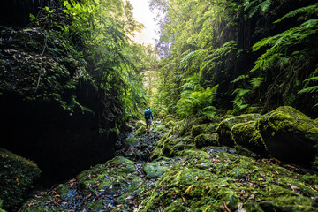 Atlhletic tourist man walking on a fern covered gorge with old bridge somewhere in Madeiran rainforest in the morning. Levada of Caldeir&atilde;o Verde, Madeira Island, Portugal, Europe.