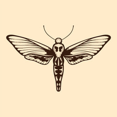 Vector moth, mystic symbol and signs. Witchcraft, occult, alchemical signs. Butterfly moth vintage engraved style