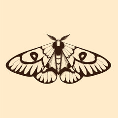 Vector moth, mystic symbol and signs. Witchcraft, occult, alchemical signs. Butterfly moth vintage engraved style